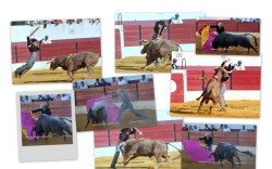 O Site   “Naturales”  atribuiu  a Cláudio Miguel com melhor bandarilheiro  da temporada 2012